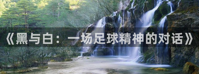  《黑与白：一场足球精神的对话》