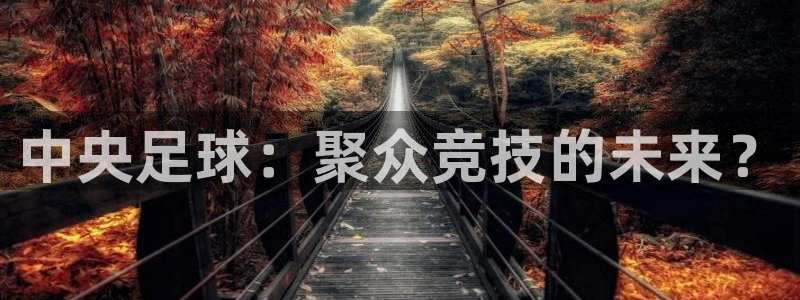 中央足球：聚众竞技的未来？