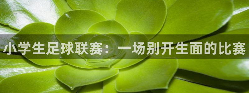 小学生足球联赛：一场别开生面的比赛
