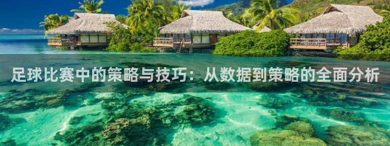 足球比赛中的策略与技巧：从数据到策略的全面分析