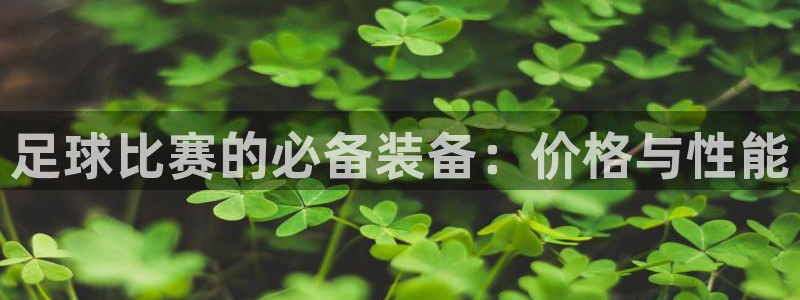  足球比赛的必备装备：价格与性能