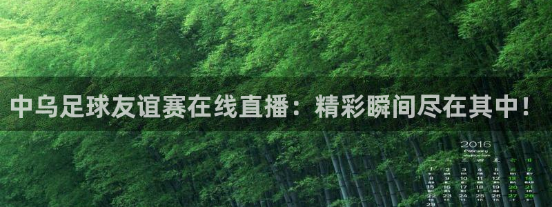 中乌足球友谊赛在线直播：精彩瞬间尽在其中！