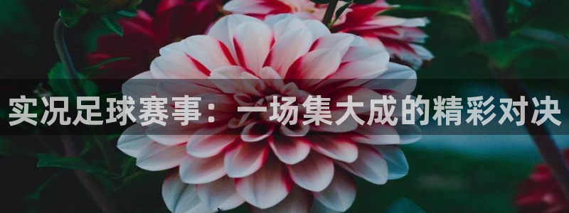实况足球赛事：一场集大成的精彩对决