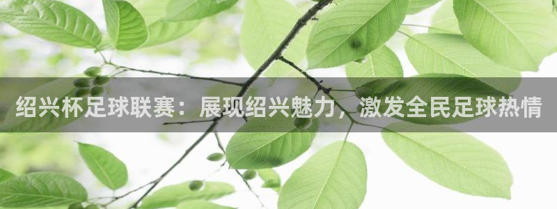  绍兴杯足球联赛：展现绍兴魅力，激发全民足球热情