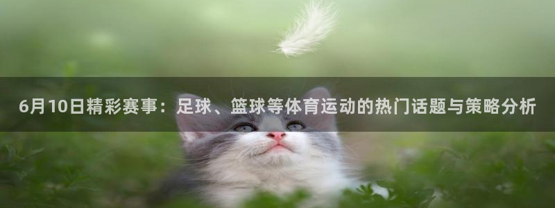 6月10日精彩赛事：足球、篮球等体育运动的热门话题与策略分析