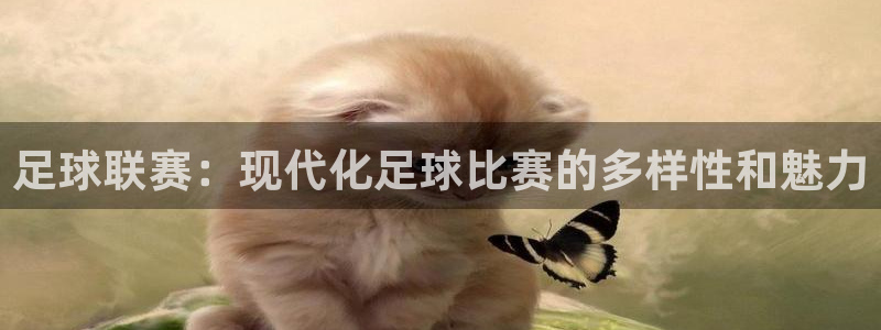  足球联赛：现代化足球比赛的多样性和魅力