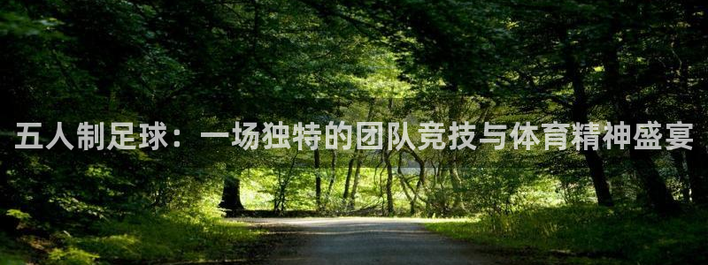 五人制足球：一场独特的团队竞技与体育精神盛宴