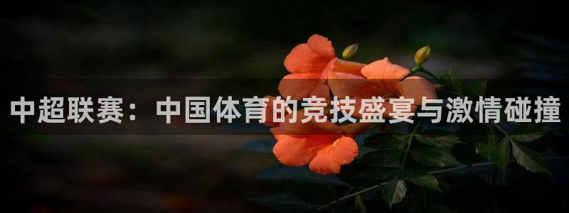  中超联赛：中国体育的竞技盛宴与激情碰撞