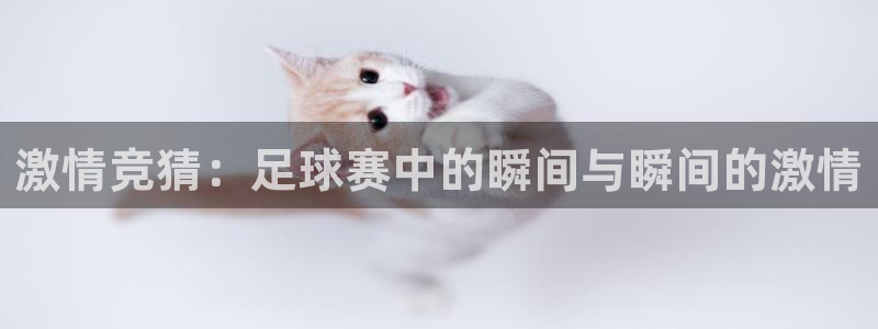  激情竞猜：足球赛中的瞬间与瞬间的激情