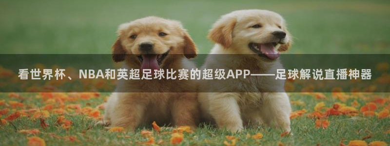  看世界杯、NBA和英超足球比赛的超级APP——足球解说直播神