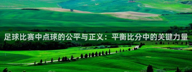  足球比赛中点球的公平与正义：平衡比分中的关键力量
