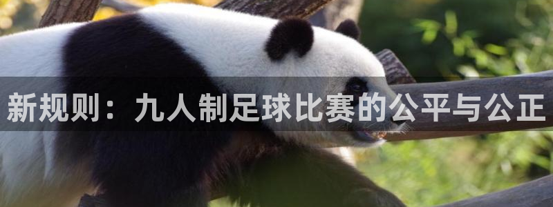  新规则：九人制足球比赛的公平与公正