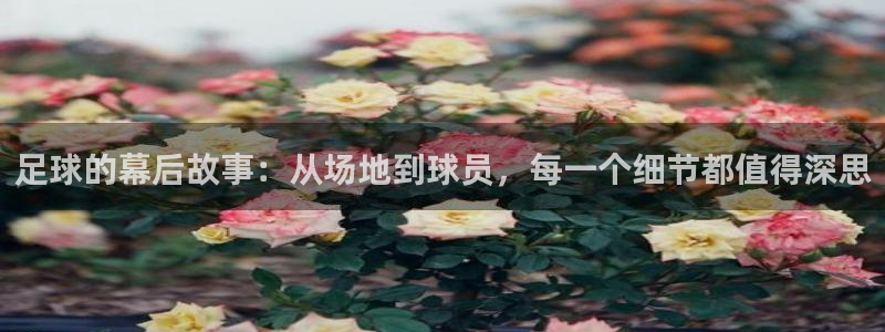  足球的幕后故事：从场地到球员，每一个细节都值得深思