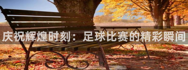  庆祝辉煌时刻：足球比赛的精彩瞬间