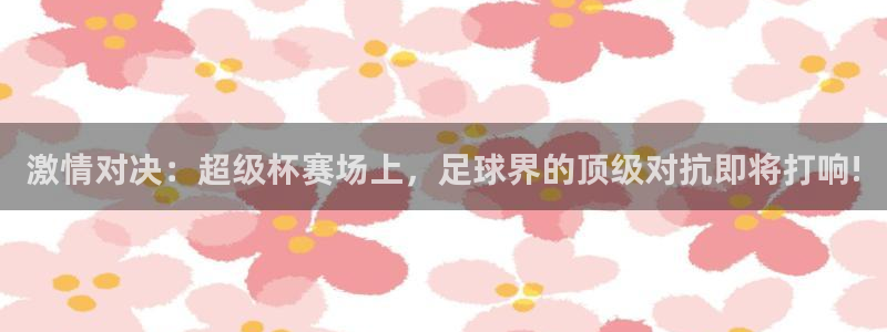  激情对决：超级杯赛场上，足球界的顶级对抗即将打响!