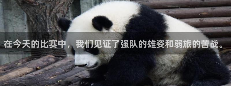  在今天的比赛中，我们见证了强队的雄姿和弱旅的苦战。