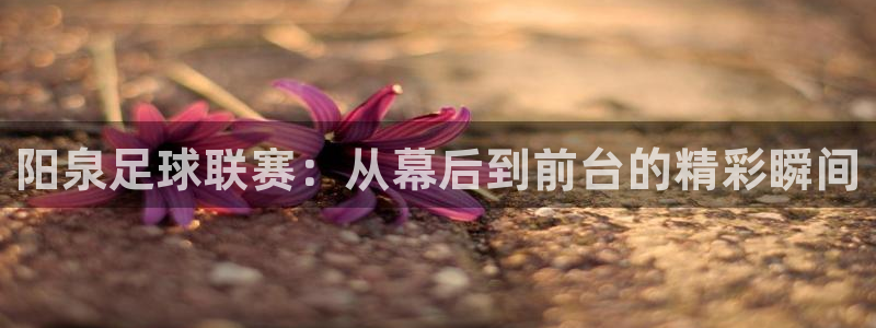  阳泉足球联赛：从幕后到前台的精彩瞬间