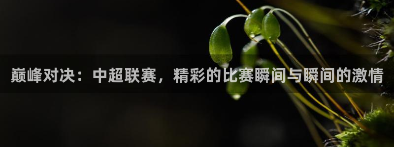 巅峰对决：中超联赛，精彩的比赛瞬间与瞬间的激情