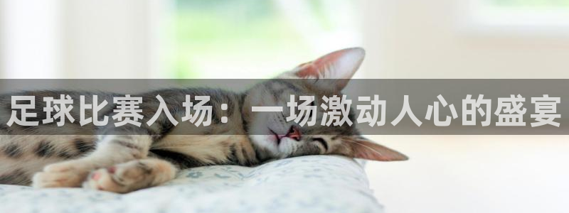 足球比赛入场：一场激动人心的盛宴