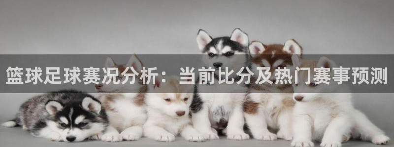 篮球足球赛况分析：当前比分及热门赛事