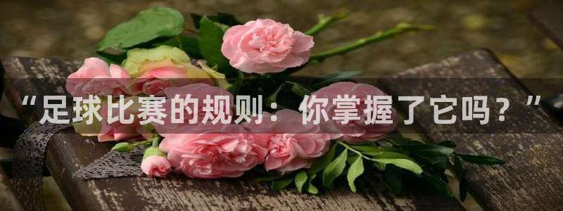 “足球比赛的规则：你掌握了它吗？”