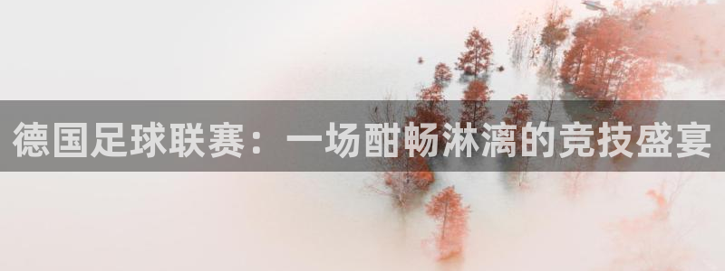 德国足球联赛：一场酣畅淋漓的竞技盛宴