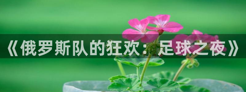 《俄罗斯队的狂欢：足球之夜》