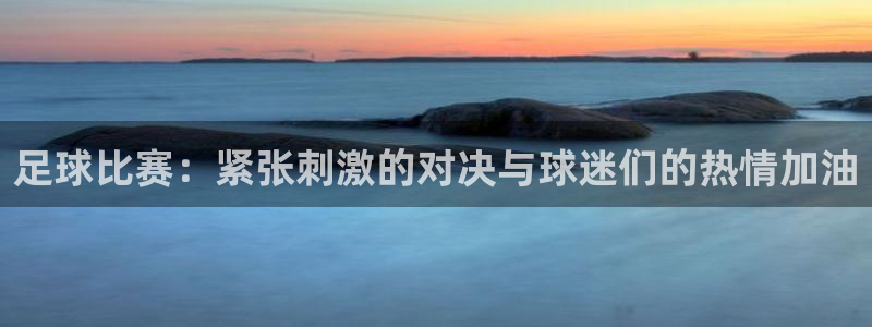 足球比赛：紧张刺激的对决与球迷们的热
