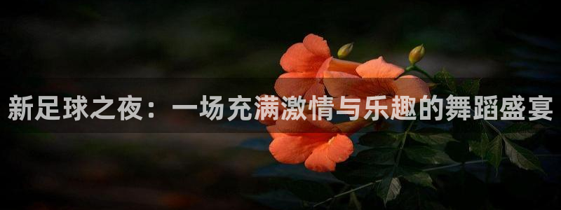 新足球之夜：一场充满激情与乐趣的舞蹈