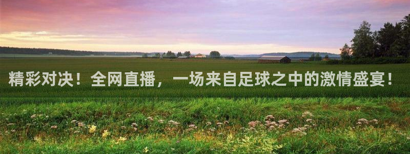 精彩对决！全网直播，一场来自足球之中