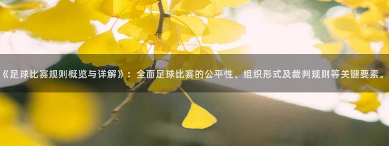 《足球比赛规则概览与详解》：全面足球