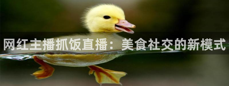 上海劲爆体育nba直播：网红主播抓饭直播：美食社交的新模式