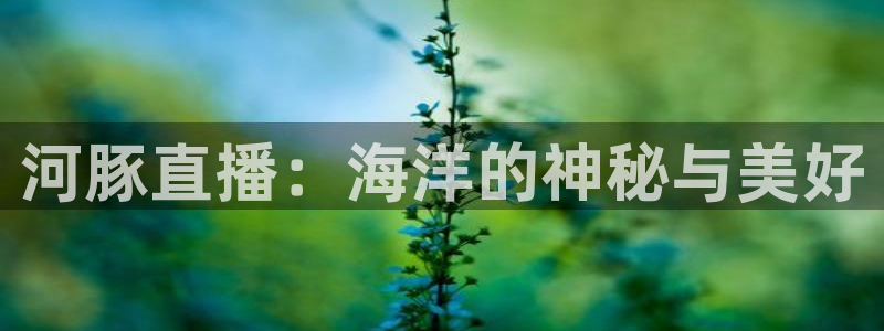 劲爆体育高清免费直播观看：河豚直播：海洋的神秘与美好
